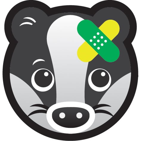 SJA FIRST AID Badger FACE-01.jpg